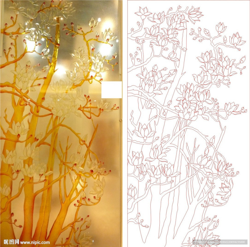 玉兰花开 玉兰树