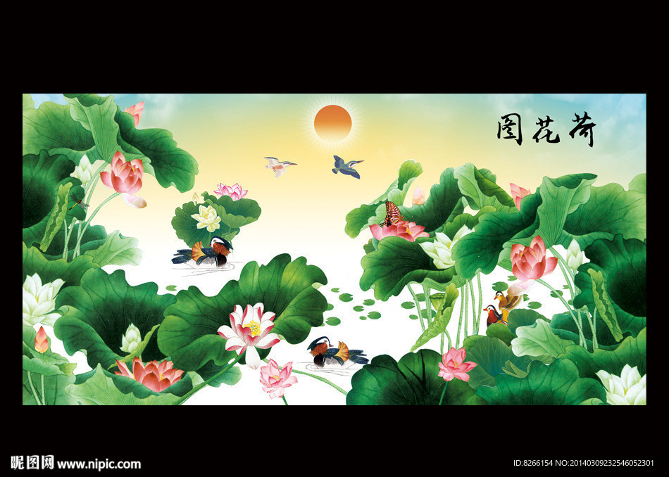 荷花