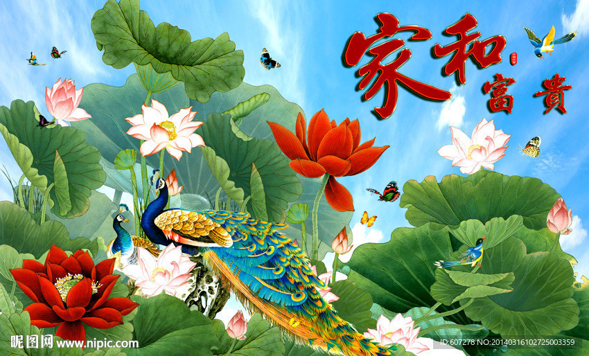 荷花