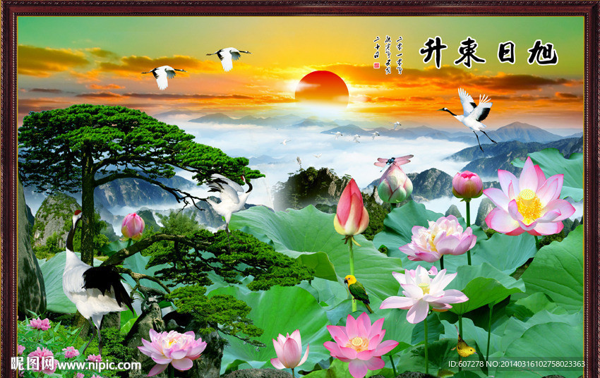 黄山迎客松