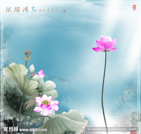 沐浴阳光