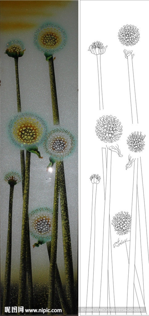 花 蒲公英