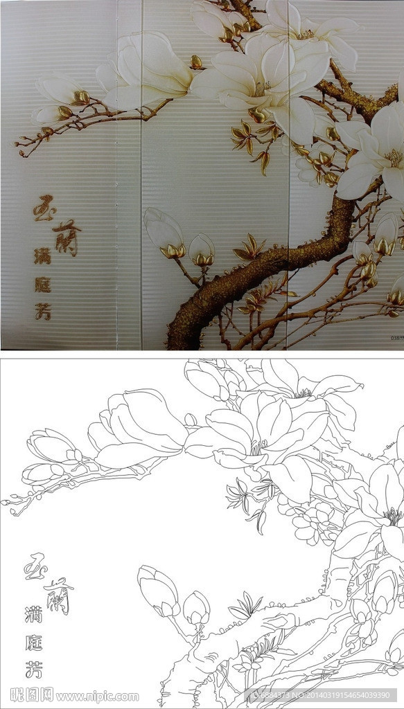 玉兰 满廷芳 玉兰花