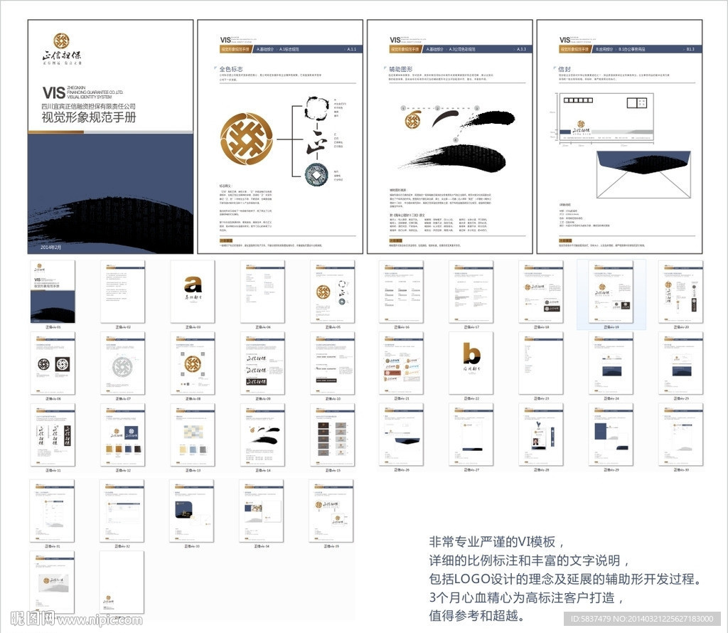 投资担保公司VIS