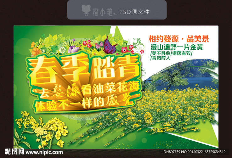 油菜花旅游