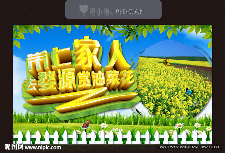 油菜花