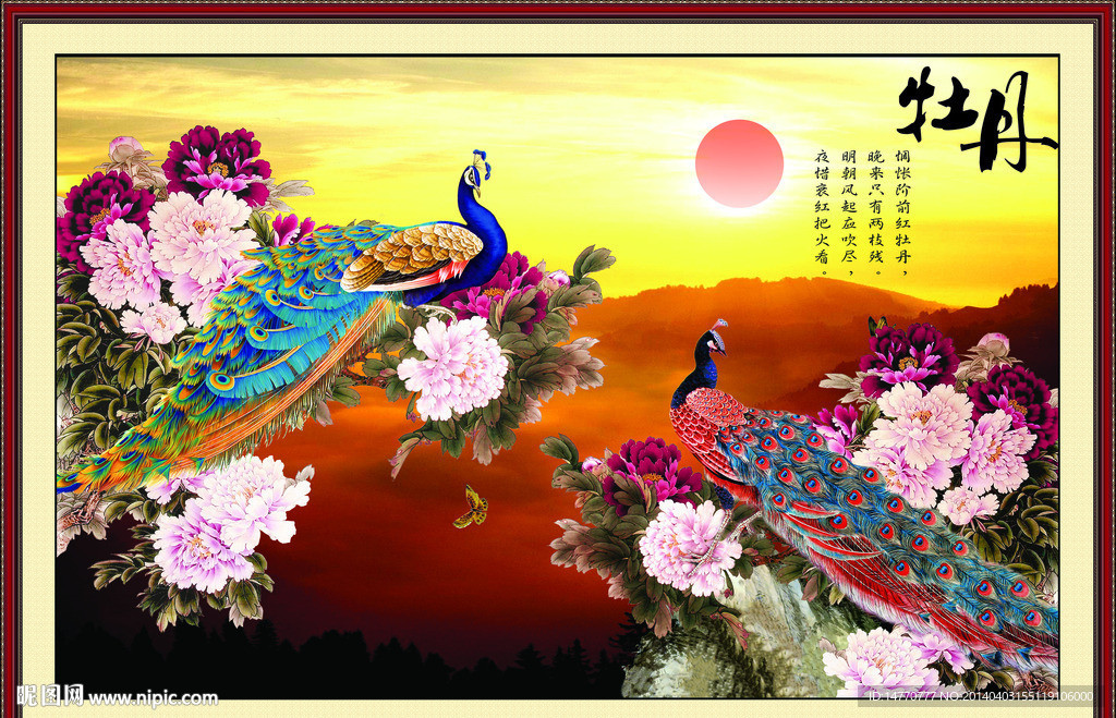 夕阳下的孔雀