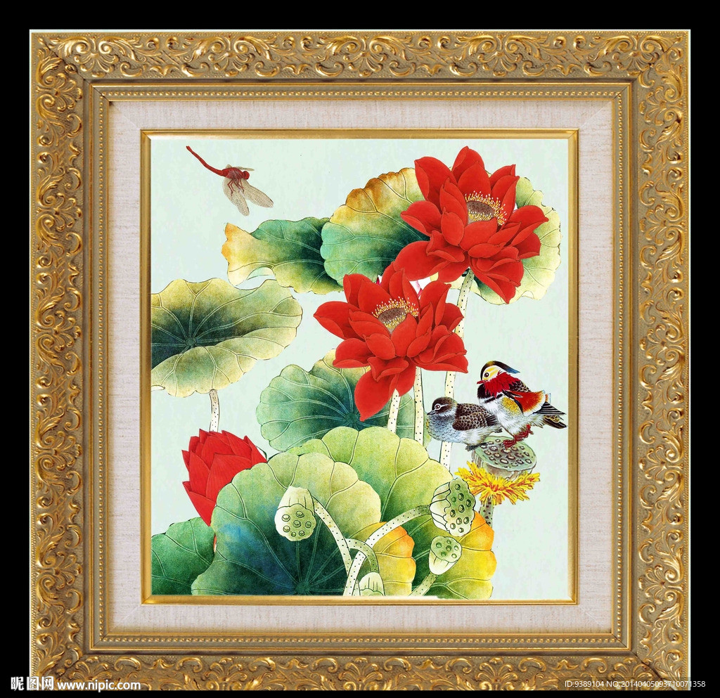 荷花