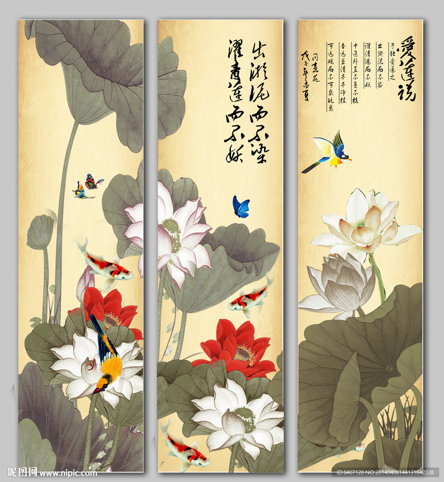 国画荷花