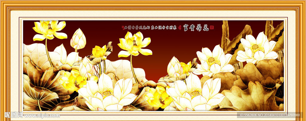荷花