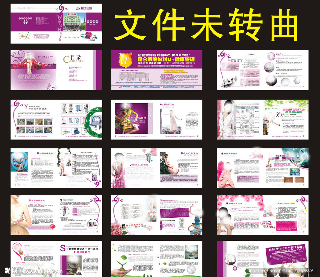 妇科 健康 手册