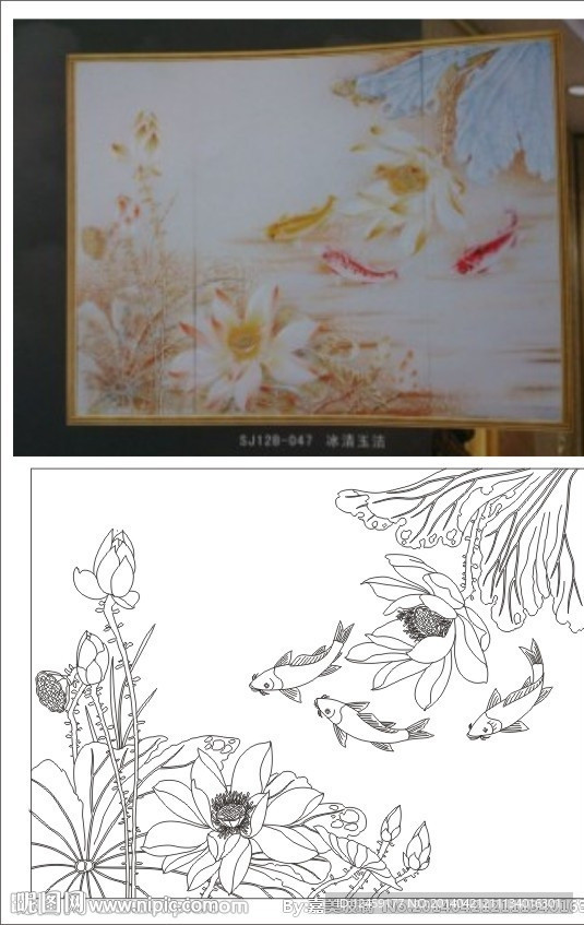 荷花鱼