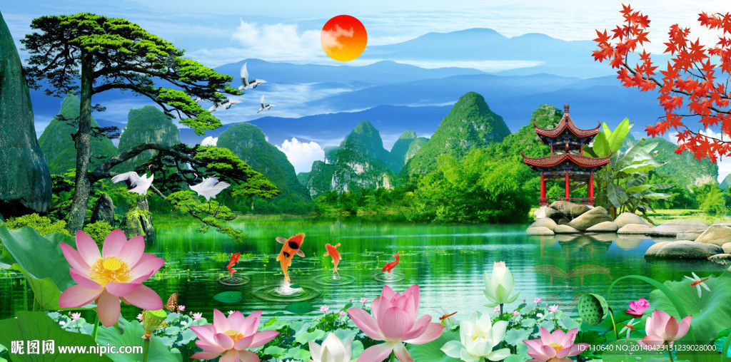 荷花