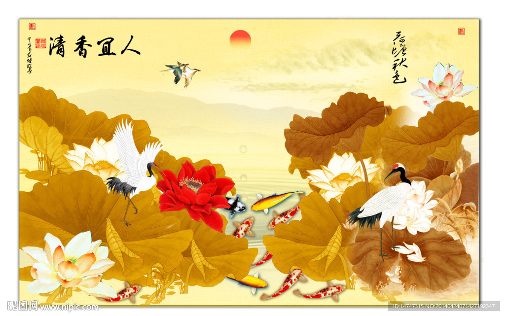 荷花国画