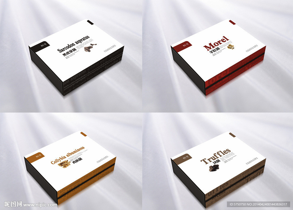 牛肝菌包装（平面图）