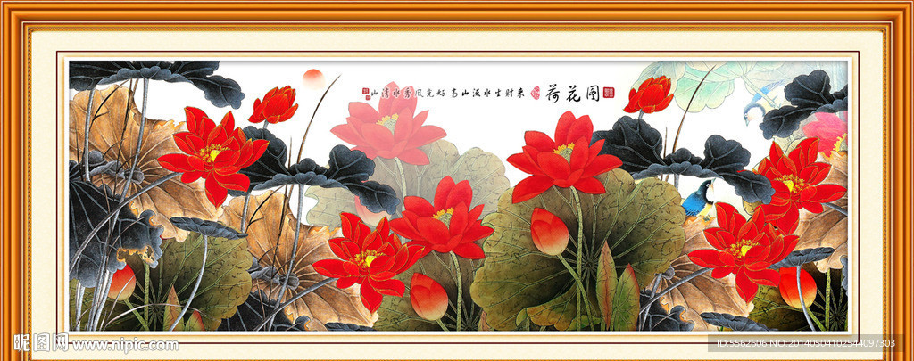 荷花