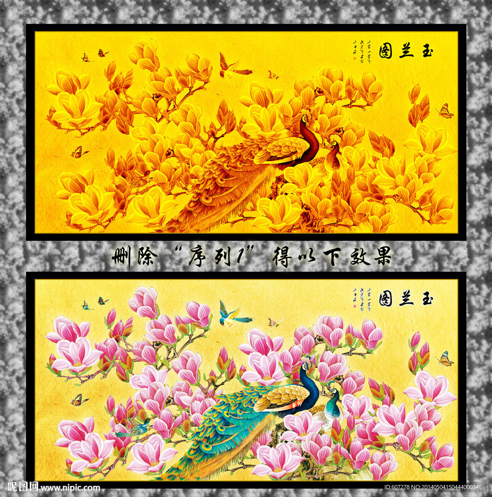玉兰花