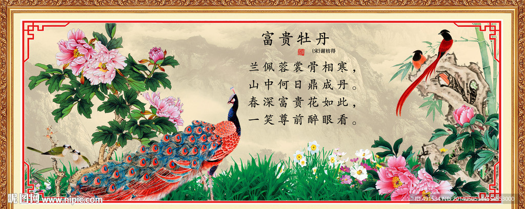 牡丹 花开富贵