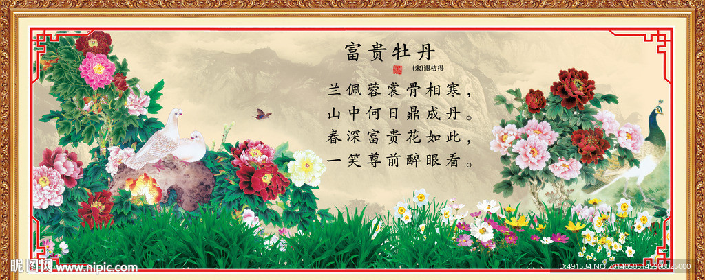 牡丹 花开富贵
