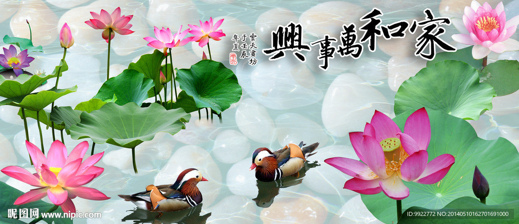 荷花