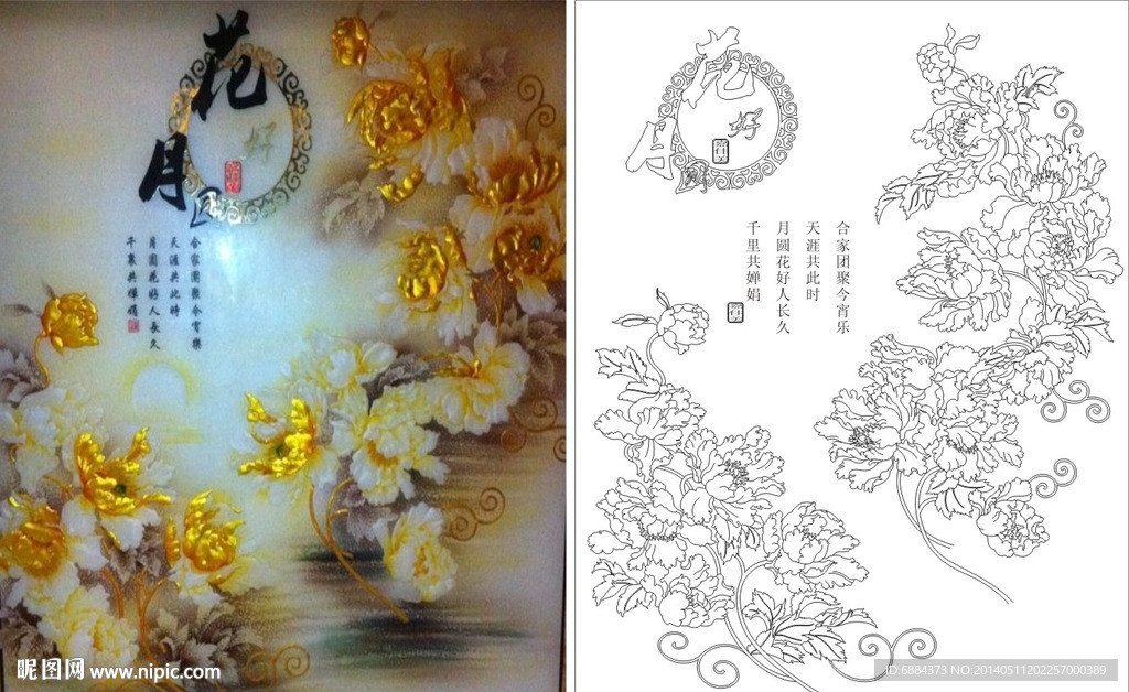 花好月圆 牡丹花