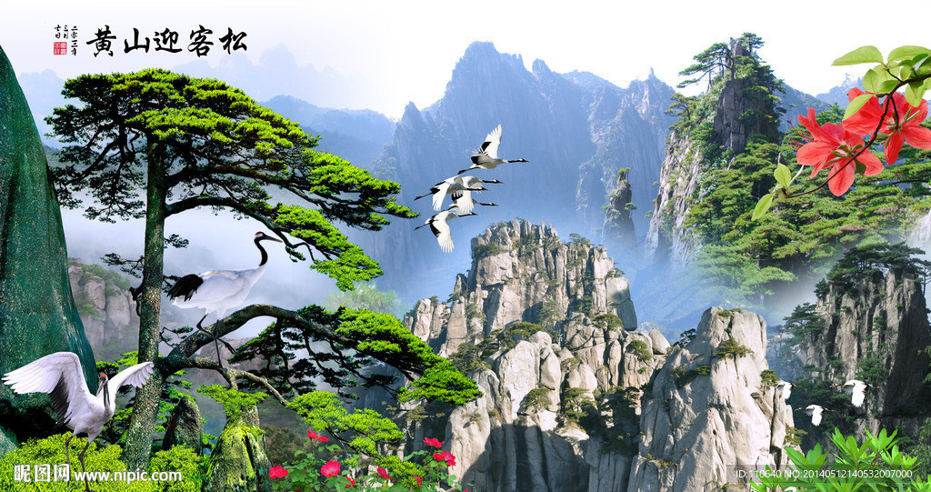 黄山迎客松