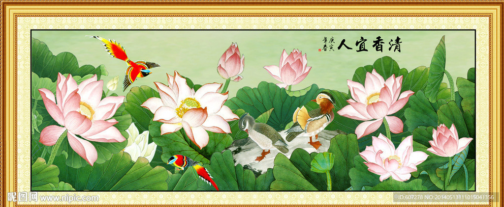 荷花