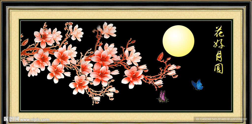玉兰花