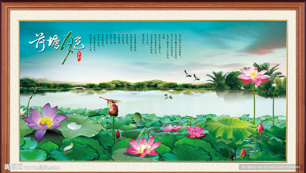 荷花