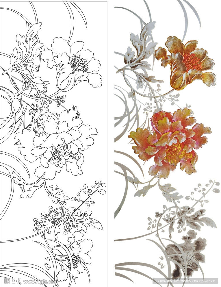 牡丹花