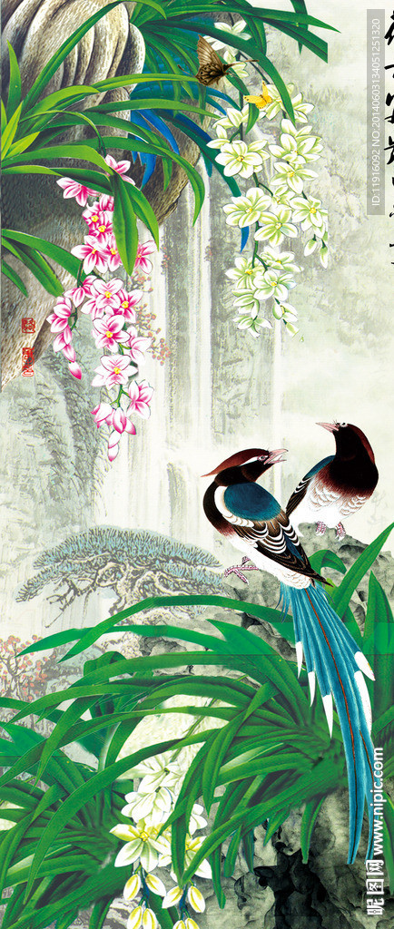 兰花