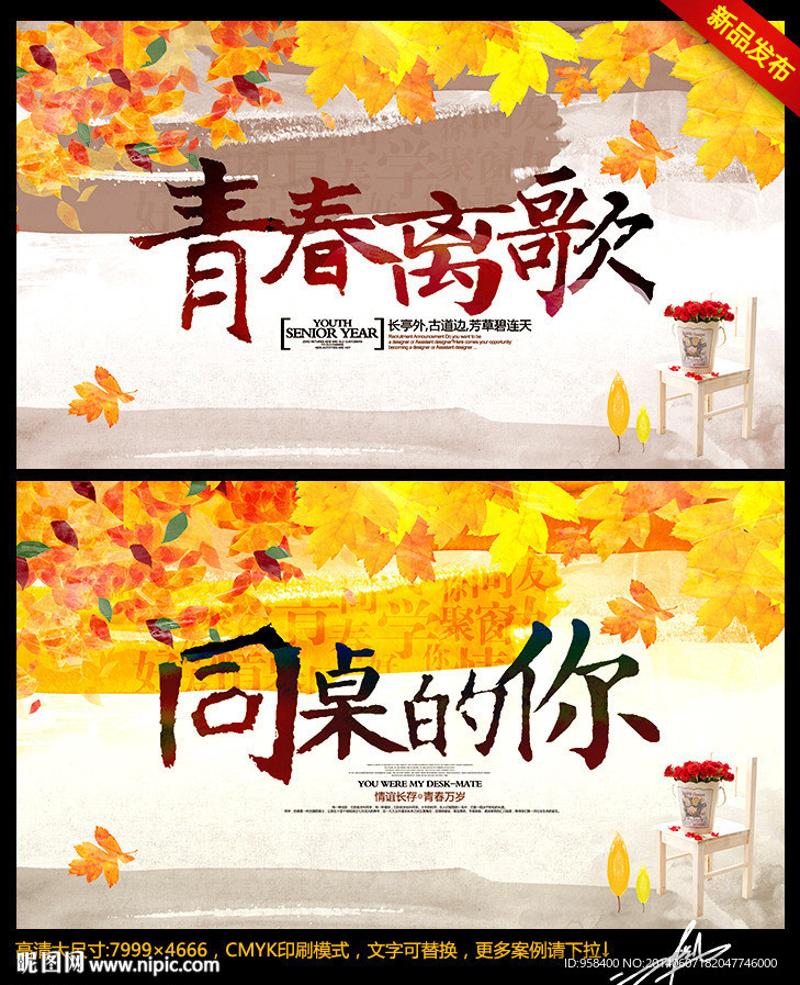 同桌的你 青春离歌