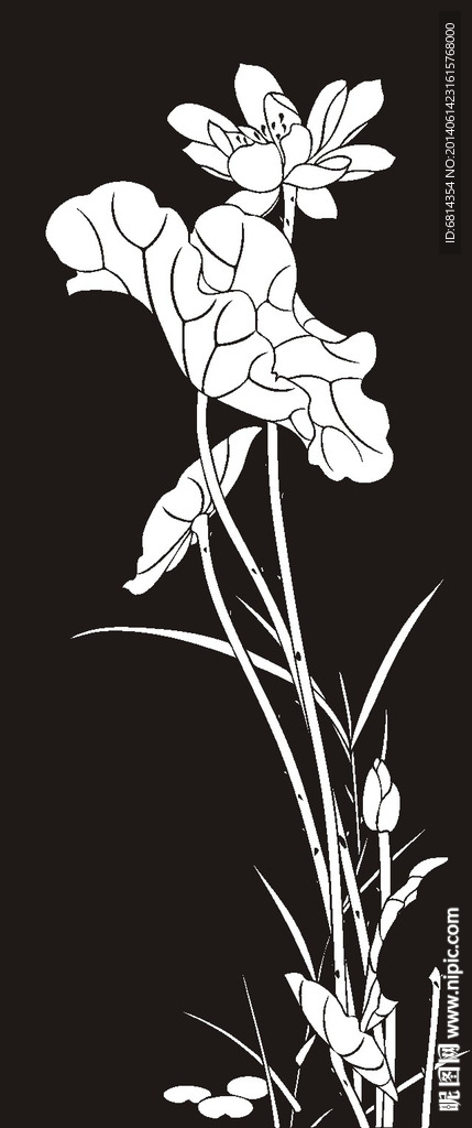荷花 莲花 黑白图 线勾图