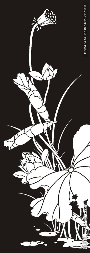 荷花 莲花 黑白图 线勾图