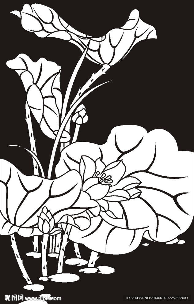 荷花 莲花 黑白图 线勾图