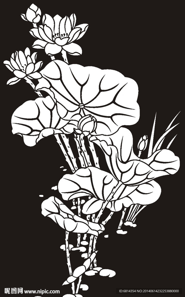 荷花 莲花 黑白图 线勾图