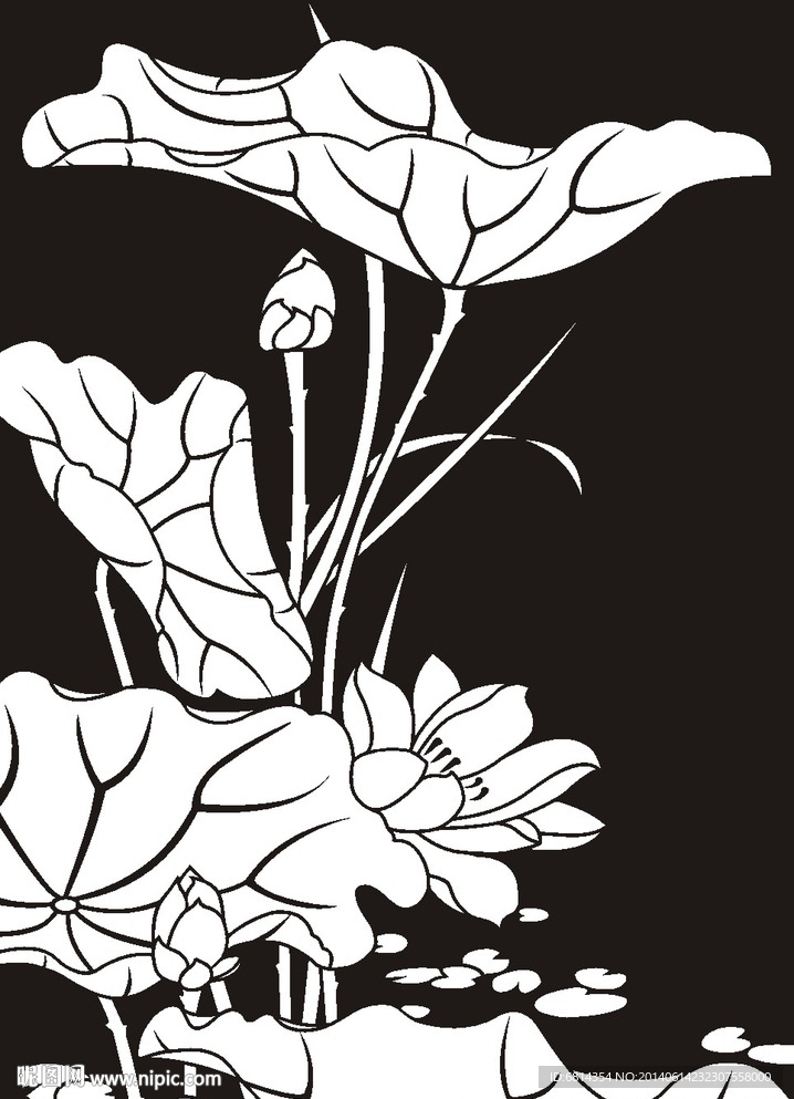 荷花 莲花 黑白图 线勾图