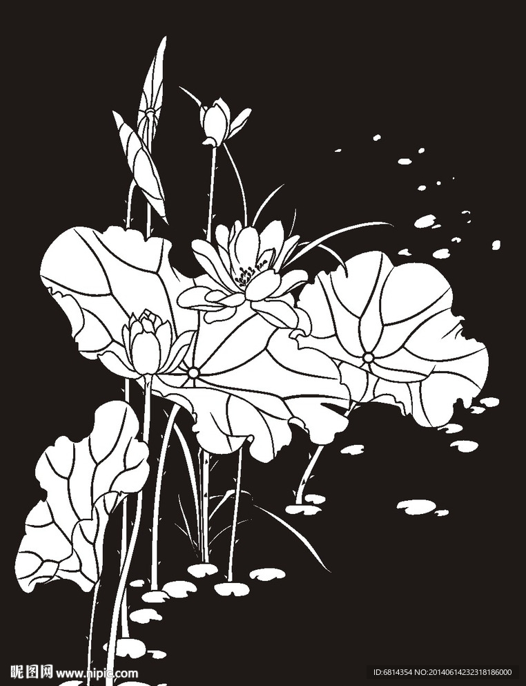 荷花 莲花 黑白图 线勾图