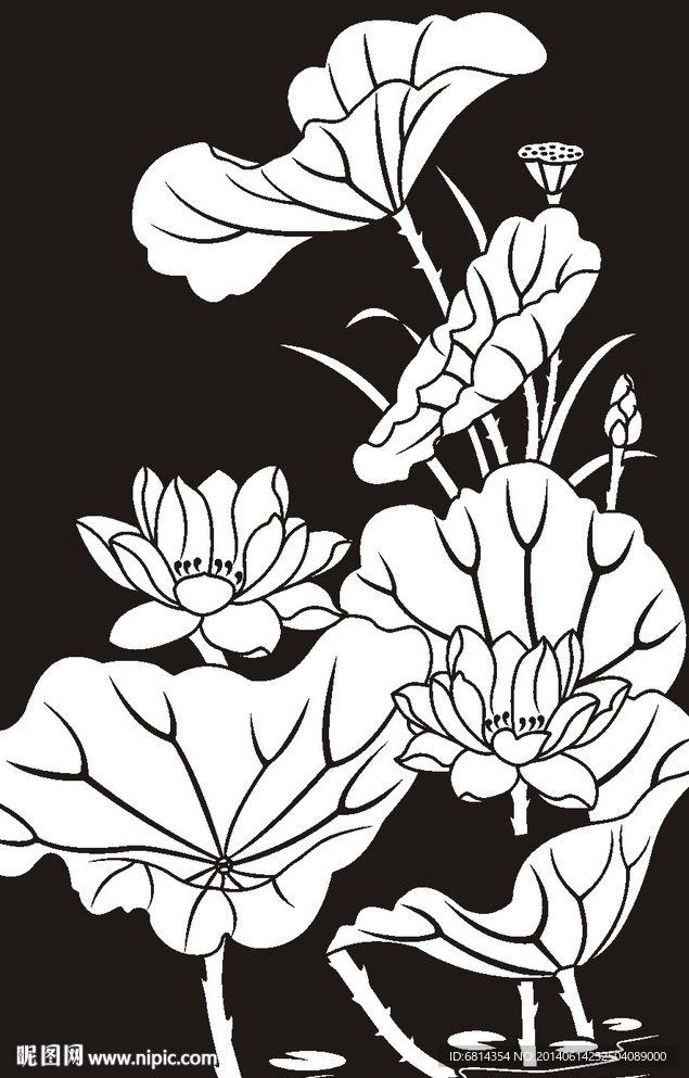 荷花 莲花 黑白图
