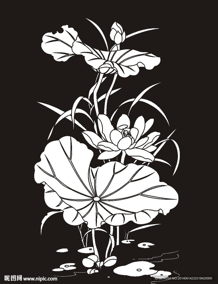 荷花 莲花 黑白图