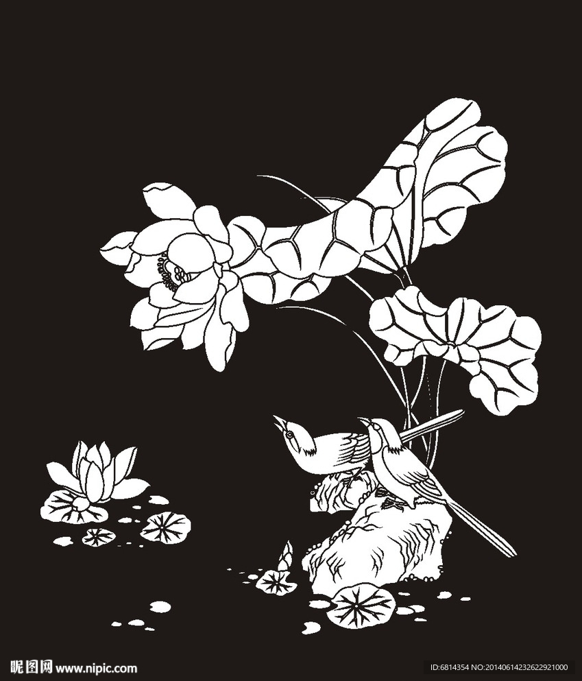 荷花鸟