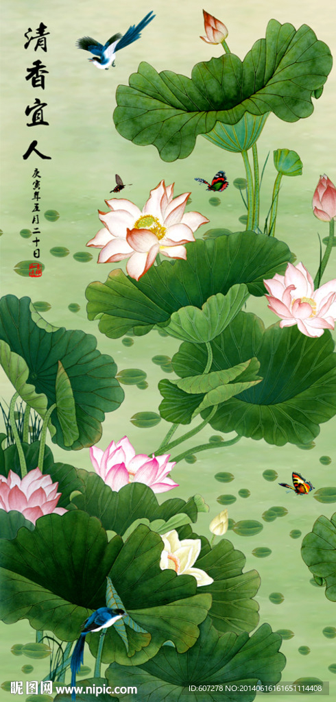 荷花