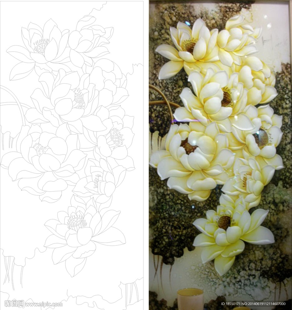 荷花