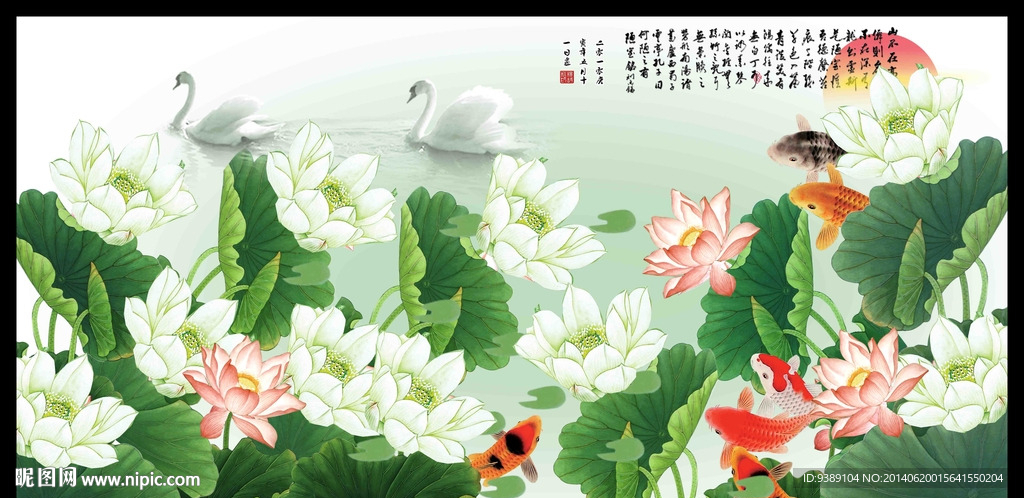 荷花