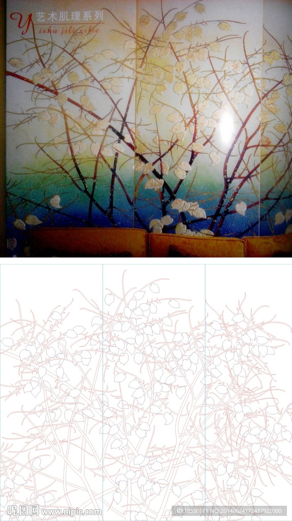 金钱叶 叶子 树枝