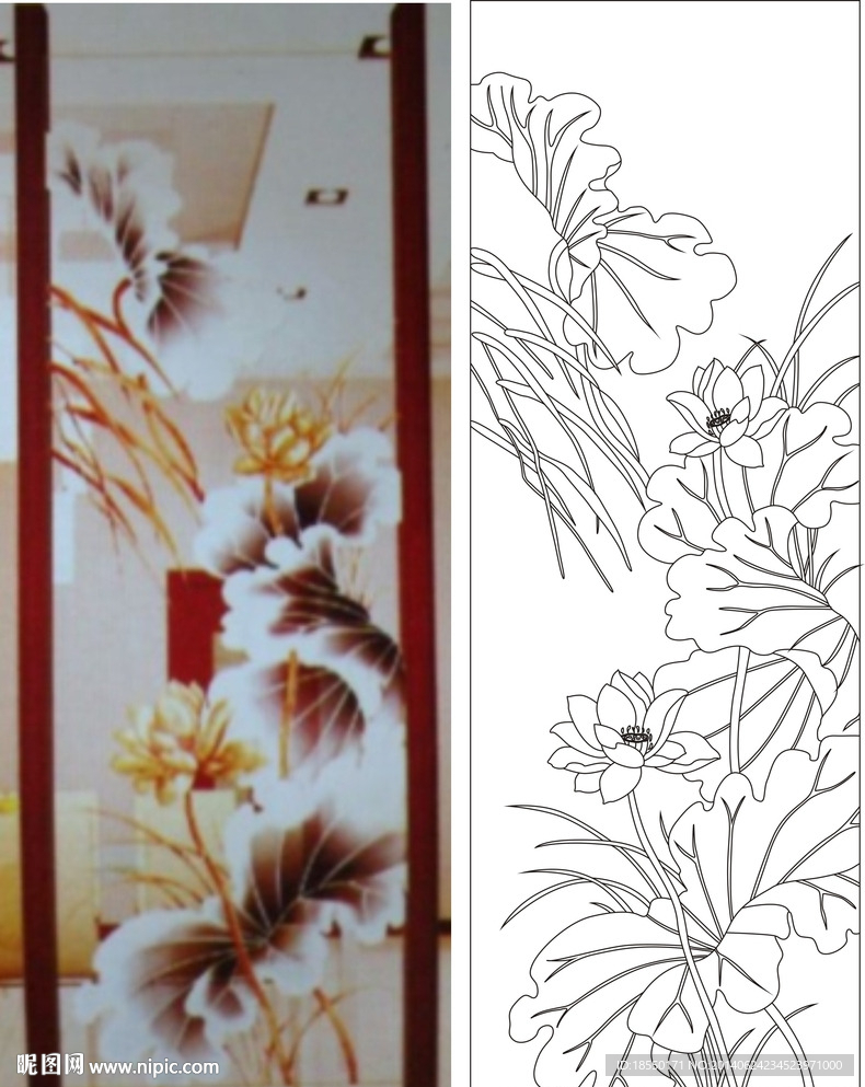荷花