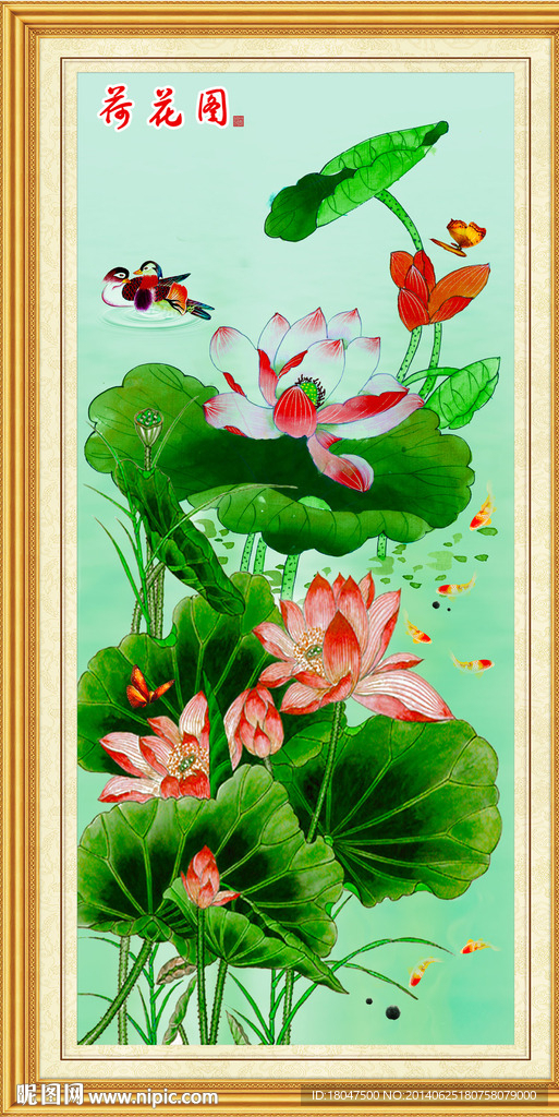 荷花图