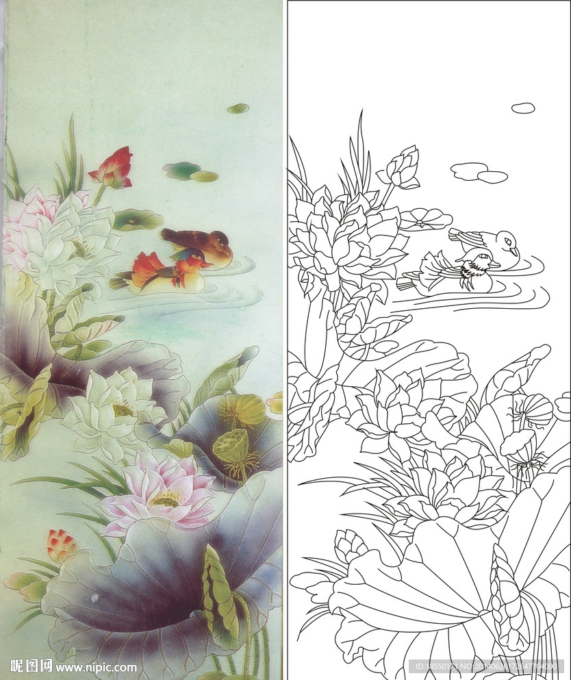荷花鸭