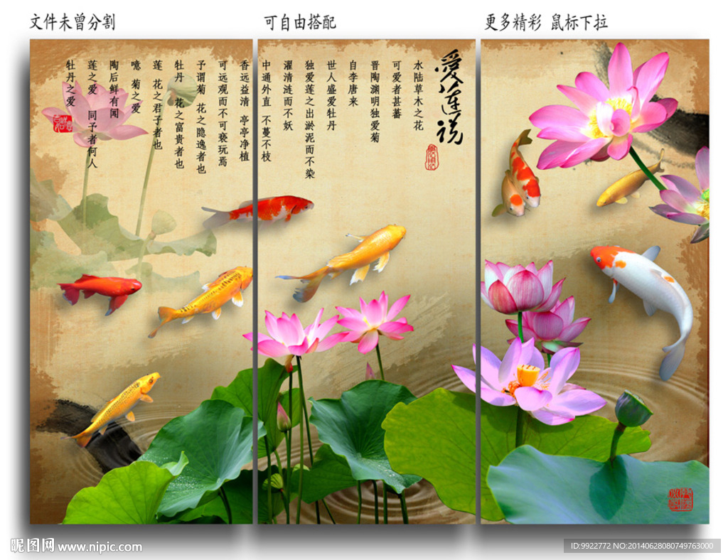 荷花
