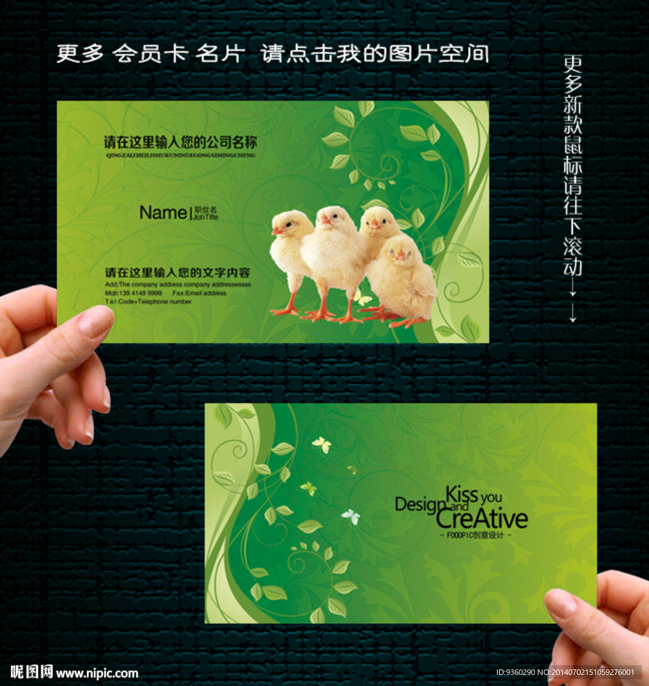 养鸡名片